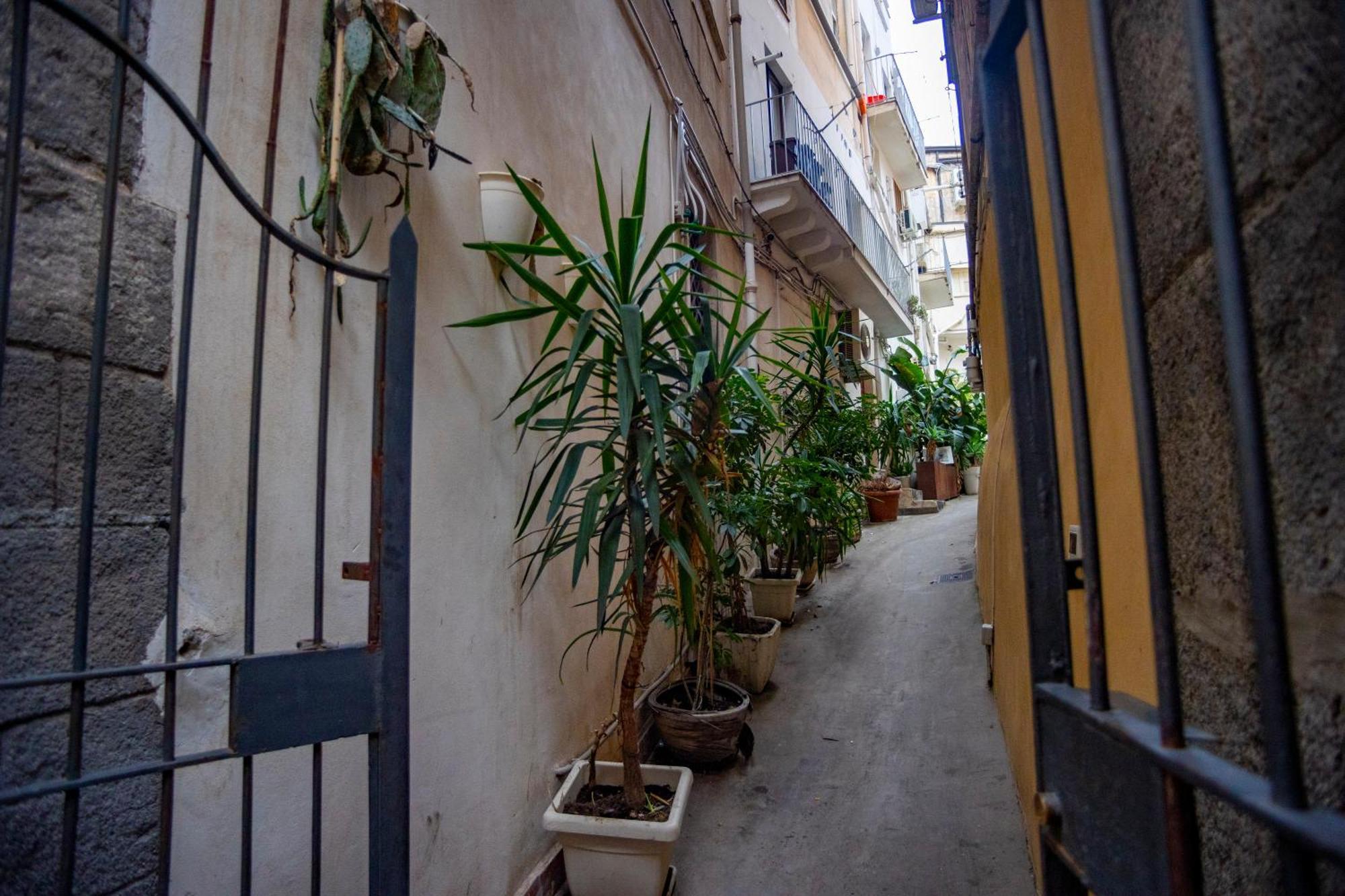 Katane' Room'S Catania Eksteriør billede